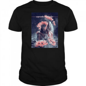 A Perfect Circle May 10 2025 Event By Ron Ransom At PNC Music Pavilion Charlotte NC T-shirt