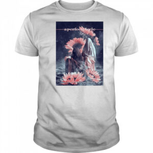 A Perfect Circle PNC Music Pavilion Charlotte NC May 10 2025 t-shirt