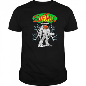 Sufjan Stevens Brian Robert Jones T-shirt