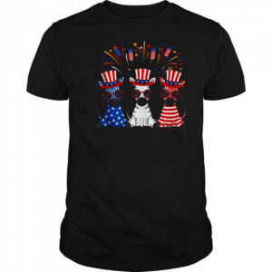 Funny Fireworks Zebra American USA Flag 4th of July T-shirt